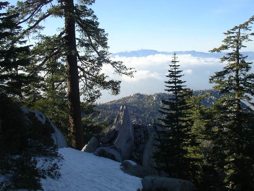 mtn tree clouds