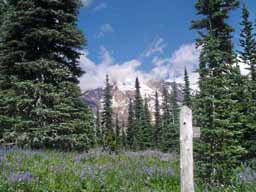 mtns clouds trees